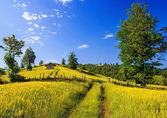 Behshahr_Small.jpg رزرو هتل بهشهر