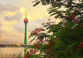 پرواز به Colombo