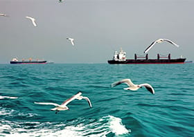 پرواز به Mahshahr