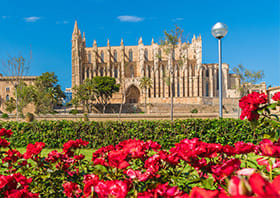 پرواز به Mallorca