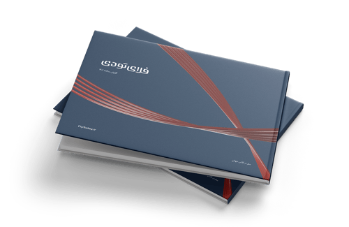 گزارش عملکرد فلای‌تودی ۱۴۰۳